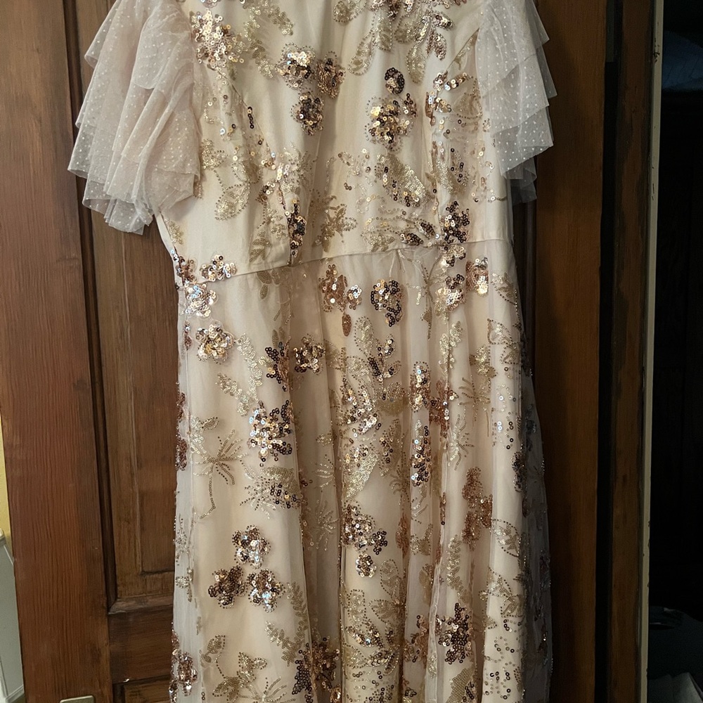 Jessakae Sequin Floral Dress with Sheer Sleeves